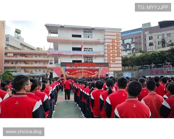 金榜时代:辉煌荣耀与青春梦想的绽放